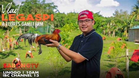 sabong tv usapang bloodline|Usapang Bloodlines with Vlad Legaspi of A Flores .
